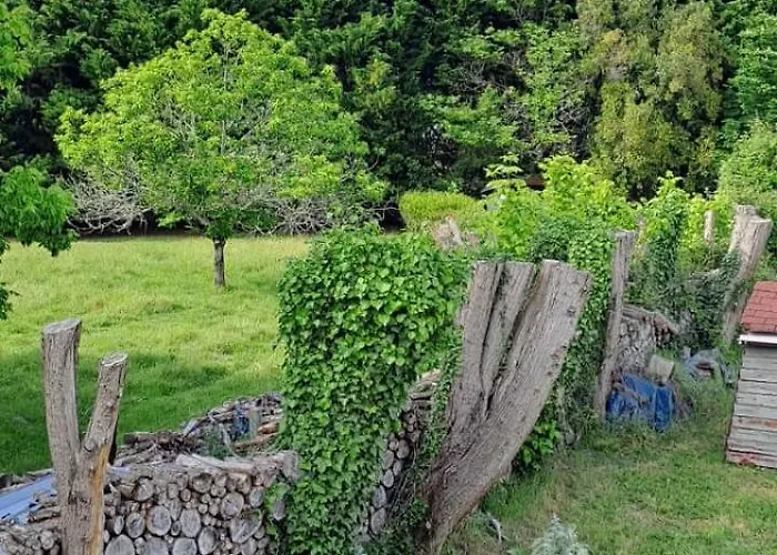 En Médoc Lesparre-Médoc